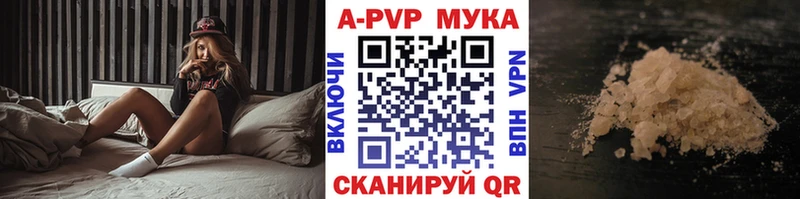 МЕГА как зайти  Мурманск  Альфа ПВП СК КРИС 