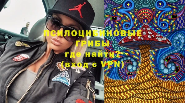 сатива Аркадак