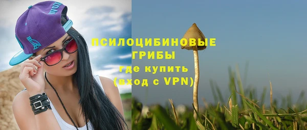 ALPHA-PVP Арсеньев