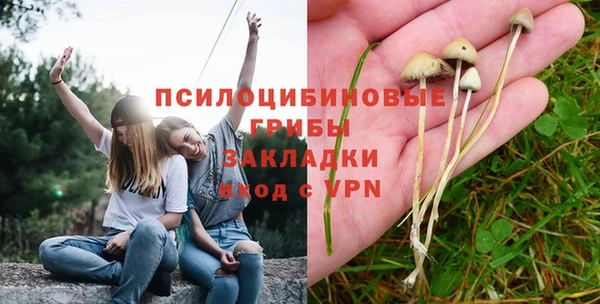 сатива Аркадак
