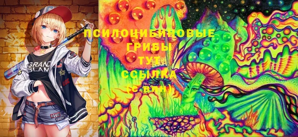 сатива Аркадак