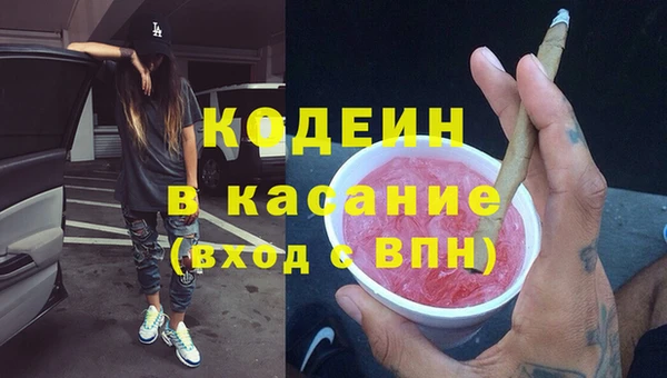крисы Богородицк