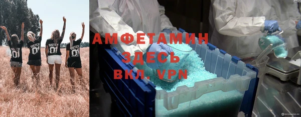 сатива Аркадак